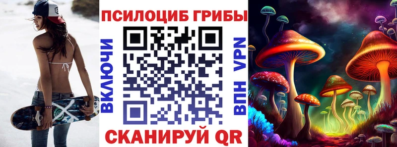 купить наркотик  omg ссылка  Псилоцибиновые грибы мухоморы  Ноябрьск 