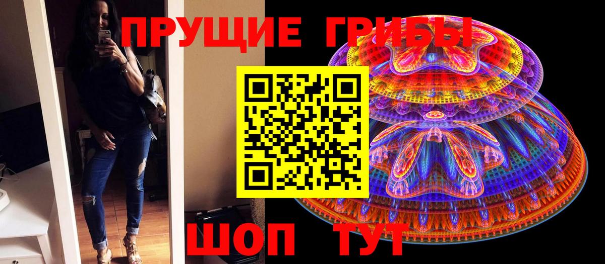 Псилоцибиновые грибы Cubensis Ноябрьск