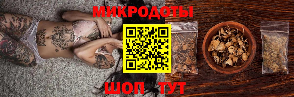 Галлюциногенные грибы ЛСД  Вход с VPN  Ноябрьск 
