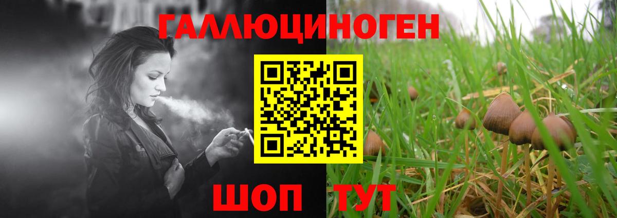 Ноябрьск  Псилоцибиновые грибы Psilocybe  Псилоцибиновые грибы Psilocybe  Вход с VPN 