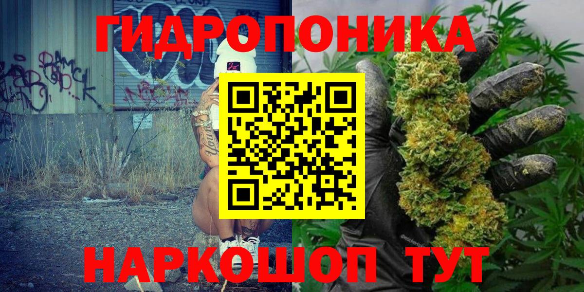 МАРИХУАНА сатива Ноябрьск